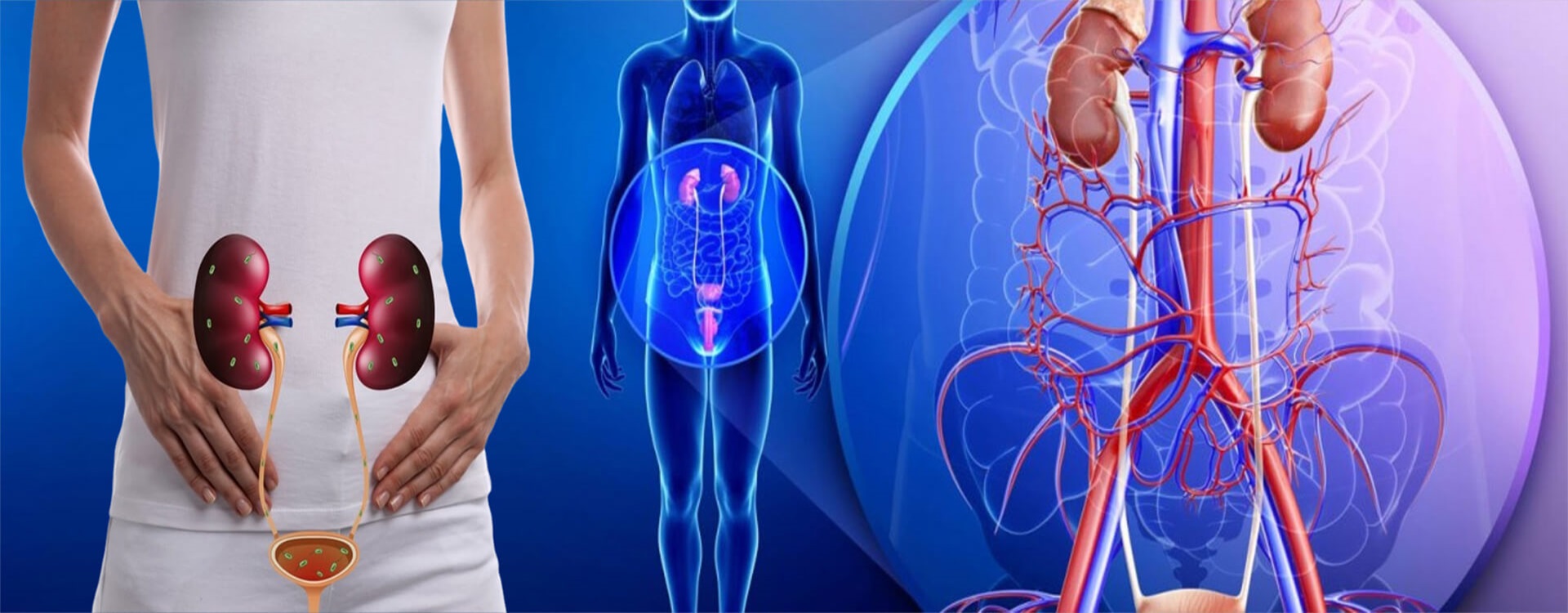 Urological Association of Kerala