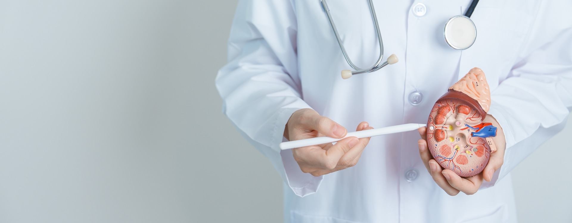 Urological Association of Kerala